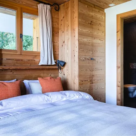 Authentic Swiss Nesoya Jacuzzi Sauna