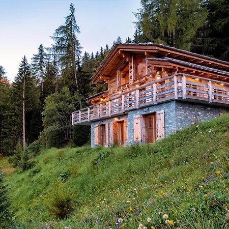 Authentic Swiss Nesoya Jacuzzi Sauna