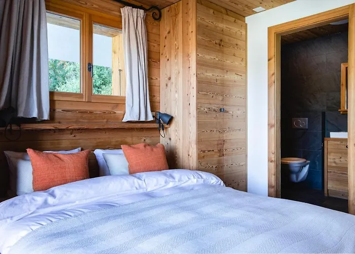 Authentic Swiss Nesoya Jacuzzi Sauna