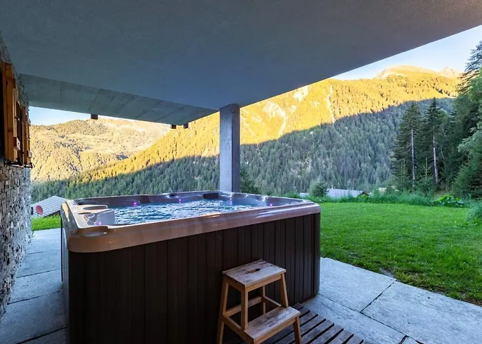 Authentic Swiss Nesoya Jacuzzi Sauna *