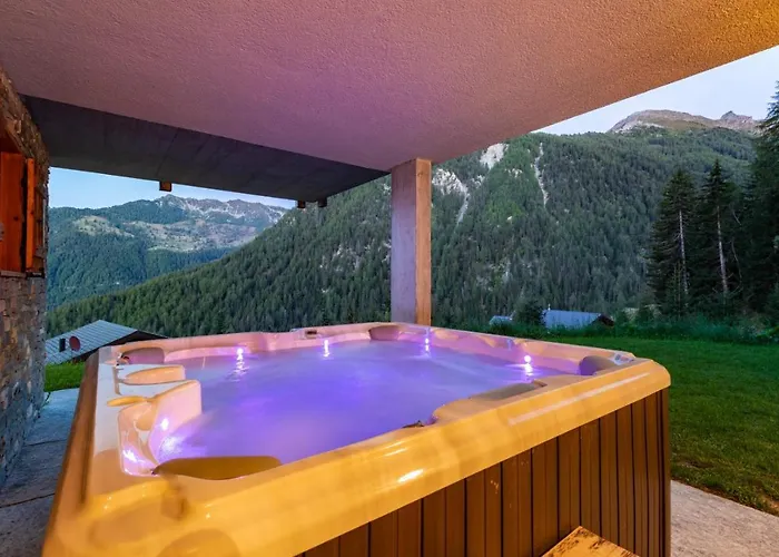 Authentic Swiss Nesoya Jacuzzi Sauna *